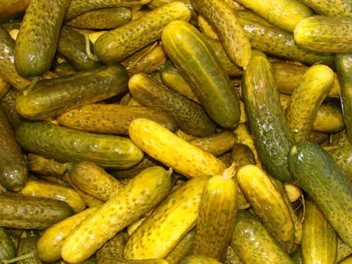 Фотография продукта Огурцы маринованные в пакетах для Horeca